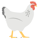 service Image
