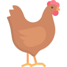 service Image